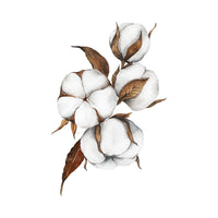 Fleur de coton