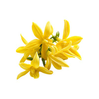 Ylang-Ylang